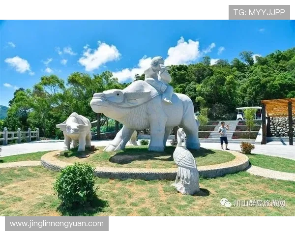 台山足球明星全景盘点及其成就回顾与未来展望